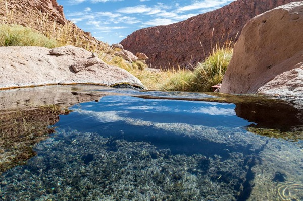 Puritama, Chile: Tại Puritama, giữa khu vực địa nhiệt tại sa mạc Atacama, du khách sẽ tìm thấy 8 hồ bơi nước nóng, nằm trên một ốc đảo, được kết nối với nhau bằng một loạt các lối đi bằng gỗ. Những bể bơi nước nóng ở đây được người Inca tin rằng có khả năng chữa các bệnh về khớp. Ảnh: GonzaloSanchez/Shutterstock.