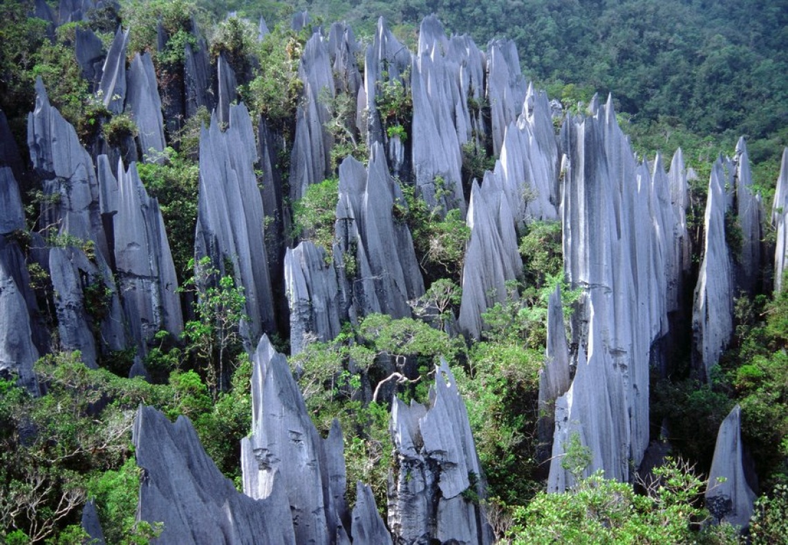 Trung tâm thành phố không có nhiều điểm tham quan, người ta đến đây để trung chuyển đến các địa điểm du lịch sinh thái ấn tượng khác của Sarawak, với 4 công viên quốc gia nổi tiếng là Gunung Mulu, Niah, Lambir Hills và Loagan Bunut. Công viên quốc gia Gunung Mulu, cách Miri khoảng 45 phút đường bay, nổi tiếng bởi những hang động đá vôi, những lòng hang rộng nhất thế giới. Nơi này còn rặng núi đá chông The Pinnacles ấn tượng.