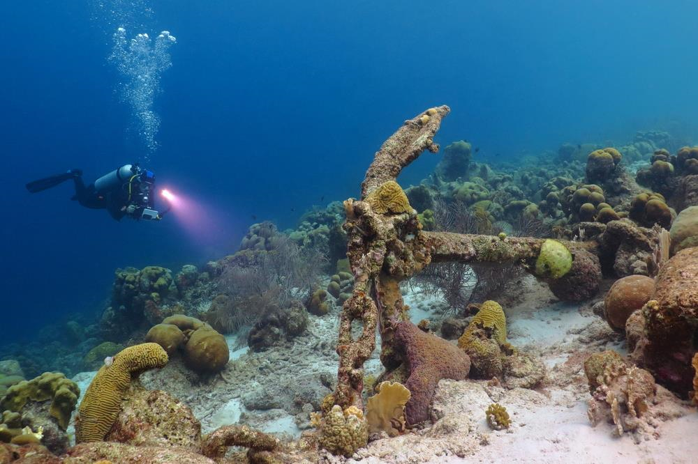 5. Thiên đường lặn biển: Nhiều xác tàu đắm nằm dưới lòng đại dương đã khiến dịch vụ lặn ở Curacao trở nên thú vị và bí ẩn hơn. Dù không phải là một thợ lặn chuyên nghiệp, bạn cũng có thể tìm thấy tour phù hợp với cấp độ của mình. Khu vực lặn khám phá tàu đắm chỉ cách mực nước biển 5 mét nên hoàn toàn phù hợp với cả thợ lặn không chuyên.