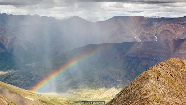 Phát hiện của đoàn địa chất ở Yukon không phải là một kho báu theo cách con người tìm kiếm trước đây trong ''''Cơn sốt vàng Klondike''''. Họ trở về nhà sau một tháng với những xô đầy đá không hề có giá trị khi quy đổi ra tiền tệ. Tuy nhiên với những nhà khoa học tìm kiếm manh mối về quá khứ bí ẩn thì chúng có giá trị như vàng.