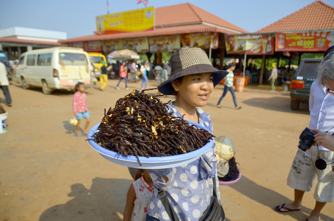Nhện độc chiên Tarantula là một loại nhện độc, đồng thời là đặc sản kinh dị nổi tiếng nhất ở Campuchia. Loài nhện này chủ yếu sống ở Kampong, một tỉnh cách Siem Reap hơn 200 km về phía đông nam. Không phải ai cũng can đảm nếm thử món ăn này. Ảnh: Meunierd.