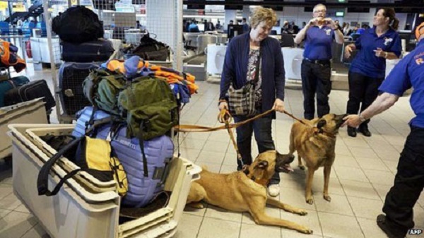 Chính phủ Hà Lan đã cử một đội cứu hộ gồm 18 người và 12 con chó đến Panama để hỗ trợ tìm kiếm. Ảnh: AFP.