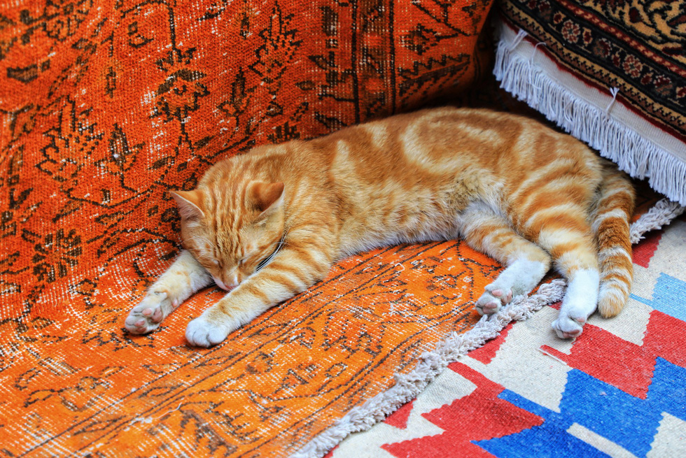 Thảm được sử dụng trong hầu hết không gian gia đình và hàng quán ở Thổ Nhĩ Kỳ, từ treo tường, trải bàn, lót ghế, trải sàn..., mang lại cảm giác vô cùng ấm cúng