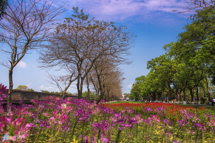 Một khung cảnh thật đẹp với hàng cây rụng lá, hàng cây xanh lộc và thảm hoa dưới đất. Du khách sẽ không khỏi ngỡ ngàng trước khung cảnh tuyệt đẹp của thiên nhiên dành cho cố đô.