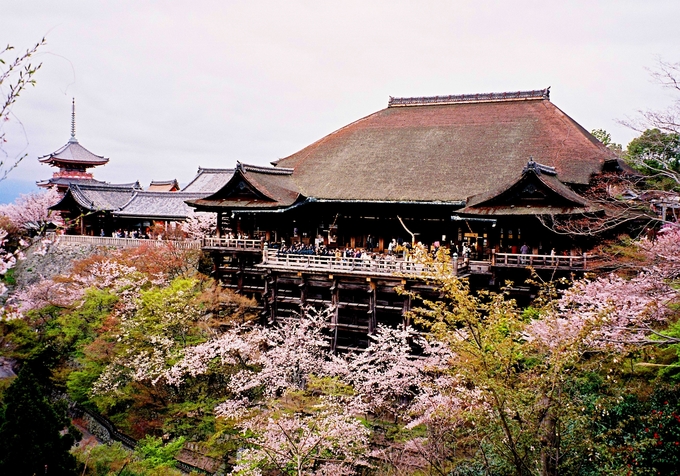 Chùa Kiyomizu (chùa Thanh Thủy) ở Kyoto là một trong những ngôi chùa có lịch sử lâu đời nhất tại Nhật, được xây dựng từ năm 778. Leo lên đến đỉnh, bạn có thể phóng tầm nhìn ngắm toàn cảnh cố đô của xứ sở mặt trời mọc.
