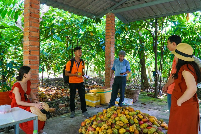 Về trưa, bạn có thể đến vườn cacao Mười Cương. Tại đây, ngoài thưởng thức sản phẩm từ trái cacao, khách còn được cùng gia chủ trải nghiệm các công đoạn sản xuất. Cơ sở làm cacao này bắt đầu hoạt động từ những năm 1960. Hiện vườn có diện tích hơn 1,2 hecta với hơn 2.000 gốc cacao. Trong khi nhiều gia đình ở đồng bằng sông Cửu Long không còn mặn mà với loại cây này vì đầu ra và giá cả không ổn định, gia đình anh Quân vẫn gắn bó với nghề.