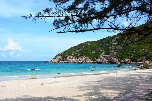 TP HCM - Nha Trang Nha Trang là điểm đến được nhiều du khách lựa chọn vào mùa hè bởi phong cảnh đẹp, nước biển sạch và nhiều loại hình dịch vụ vui chơi, trải nghiệm. Tàu hỏa mới đi Nha Trang khai thác từ tháng 3/2017 có ghế ngồi, khoang giường nằm mới nhiều tiện nghi. Đến Nha Trang bạn có thể đi tour 4 đảo, Vinpearl Land, hoặc đi tới vùng vịnh Cam Ranh, đảo Bình Ba.