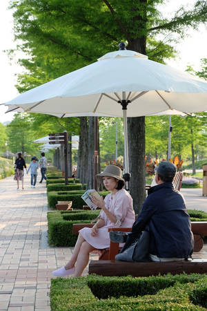 Trái ngược với sự nhộn nhịp của thành phố, khu sinh thái Suncheon lúc nào cũng bình yên.