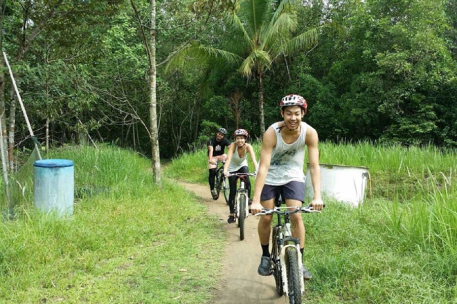 Một trong những trải nghiệm thú vị nhất trên đảo Pulau Ubin là đạp xe trên những con đường mòn rợp bóng cây xanh. Ảnh: Rachel Erasmus.