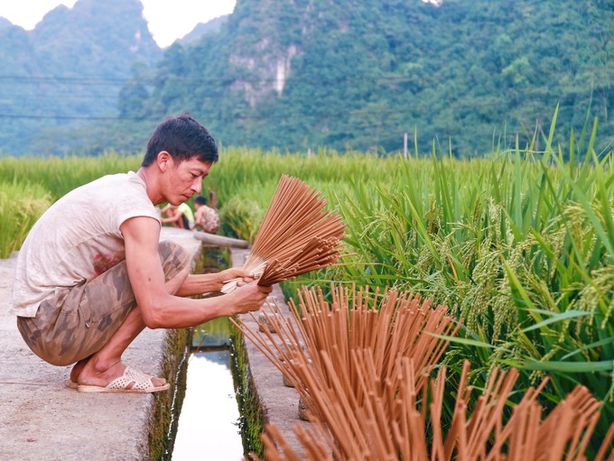 Làng hương Phia Thắp Nghề làm hương ở làng Phia Thắp, huyện Quảng Uyên đã có từ lâu đời. 5-6h sáng, người dân bắt đầu phơi lá bầu hắt; vót mai; dùng nước keo dính bột mùn cưa, bầu hắt và phơi hương. Vì hương ở đây được làm từ các loại lá tự nhiên và mùn cưa, khi đốt sẽ có mùi thơm nồng. Anh Hoàng Văn Út, dân tộc Nùng An cho biết, sau khi phơi khô, gia đình anh sẽ nhuộm chân hương và đem ra chợ phiên bán. Du khách tới đây cũng có thể mua hương với giá 10.000 đồng 3 bó.