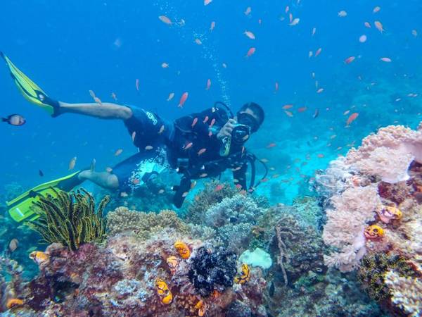 Lặn biển ở Sabah – Borneo là trải nghiệm thú vị