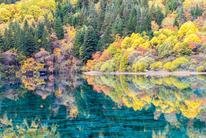 Cửu Trại Câu Khoảng tháng 10 hàng năm được xem là thời điểm “vàng” để ghé thăm khu bảo tồn thiên nhiên Cửu Trại Câu. Điểm dừng chân này rộng 60.000 ha, nằm ở độ cao trên 3.000 m, phía bắc tỉnh Tứ Xuyên. Vào thu, nơi đây khoác lên những gam màu từ đỏ yên chi, đỏ thắm đến vàng mơ, màu hổ phách xen lẫn cây lá kim xanh rì phủ bóng xuống lòng hồ. Ảnh: ShutterStock/Mr.Patty.