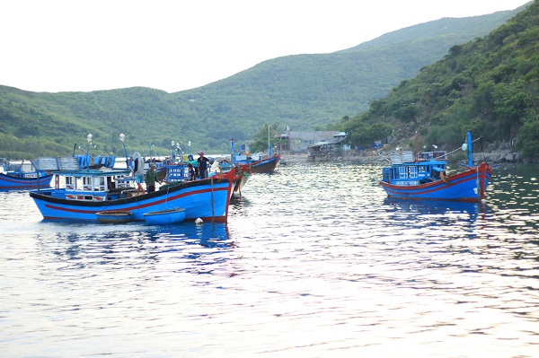 Sáng sớm, những cuộc mưu sinh lấp đi nỗi lo cơm, áo, gạo, tiền bắt đầu nơi xã đảo Bích Đầm - Ảnh: Bông Mai