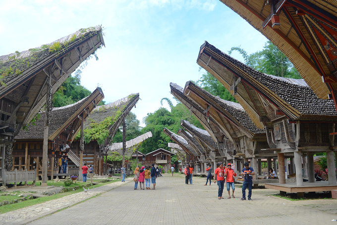 Trong xã hội Toraja, nghi thức tang lễ là sự kiện phức tạp và tốn kém nhất. Ngoài ra, khi đến đây, bạn đừng quên khám phá những ngôi nhà truyền thống của người Toraja. Kete Kesu là điểm đến luôn đông du khách. Nội thất của một số tòa nhà trung tâm thị trấn, đặc biệt là nơi lưu trú dành cho du khách cũng được áp dụng các yếu tố truyền thống của Toraja. Khách nghỉ chân sẽ được đối xử như một người đang sống ở đây. Điều này sẽ khiến bạn cảm nhận rõ hơn về điểm đến nổi tiếng này.