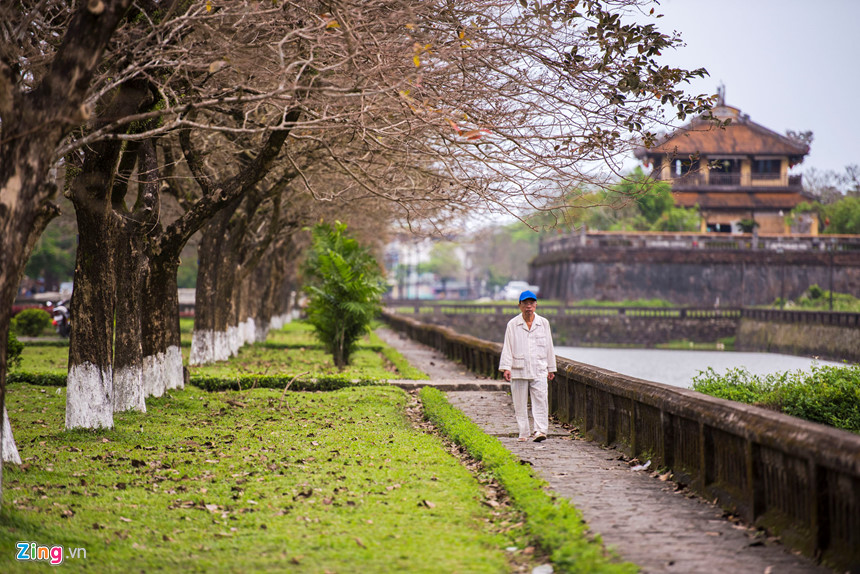 Cố đô Huế những ngày giữa tháng ba, nhiều nơi cây cối đã trơ trụi lá.