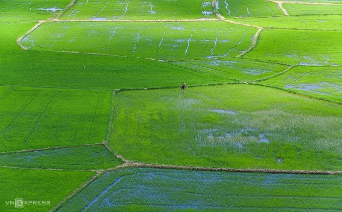 Một góc cánh đồng nhìn từ núi Tà Pạ. Địa hình bằng phẳng bên dưới mang đến cho khách tham quan tầm nhìn trải rộng về những ruộng lúa và lối đi xung quanh.