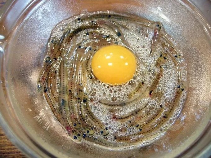 Cá nhảy múa (Shirouo no Odorigui): Món ăn này có lịch sử khoảng 300 năm với nguyên liệu chính là cá bống băng (Shirouo) có bề ngoài trong suốt. Những con cá nhỏ, còn sống sẽ được đặt trong một tô lớn. Khi bắt đầu ăn, thực khách chuẩn bị thêm một quả trứng, giấm và nước tương. Giấm trộn vào shirouo để làm chúng "nhảy múa" mạnh hơn. Người Nhật thường không nhai mà nuốt sống cá bống và uống cùng rượu sake. Thời điểm lý tưởng nhất để thưởng thức món ăn này là mùa xuân. Ảnh: Wiki-Travel.