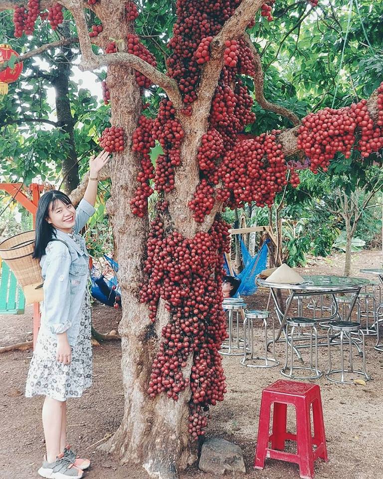 DU-LICH-PHU-YEN-Tadiha.com-16