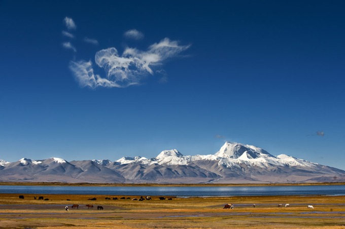 Hồ Manasarovar Hồ nước thiêng liêng nhất với người Tây Tạng là Manasarovar, nằm ở độ cao 4.590 m, thuộc vùng viễn tây gần núi Kailash. Đây là một trong những hồ nước ngọt cao nhất hành tinh, với tầm nhìn bao quát dãy Himalaya ở phía nam, trong đó có đỉnh Mandhata hùng vĩ cao 7.694 m. Ảnh: The Land Of Snows.