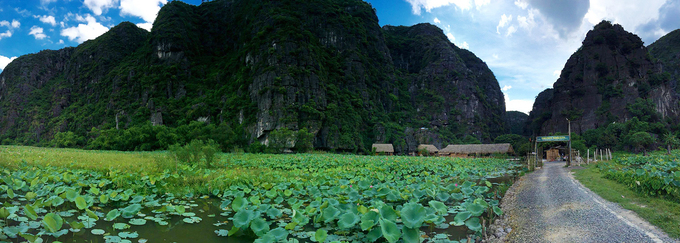 Chezbeo Valley Bungalows toạ lạc trong làng Khả Lương, Hoa Lư, Ninh Bình, cách trung tâm Hà Nội khoảng 130 km. Để vào đến homestay, bạn sẽ băng qua những cánh đồng lúa bát ngát, nơi có nhiều nông dân đang làm việc trước khi bắt gặp ao sen rộng lớn. Ảnh: Chezbeo.