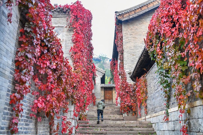 Thị trấn nằm tại Gubeikou, quận Miyun, ngoại thành Bắc Kinh, nổi tiếng với những căn nhà cổ, con đường lát đá rêu phong cùng những dàn cây dây leo bám dọc theo mảng tường. Đây là địa điểm chụp ảnh yêu thích của những người thích phong cách cổ trang với sân vườn truyền thống.