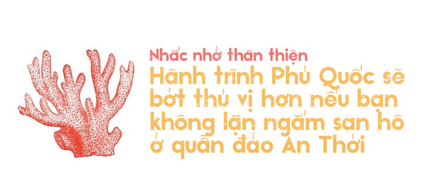 chinh-phuc-dao-ngoc-phu-quoc-cung-dong-bon-tuong-khong-vui-ma-vui-khong-tuong-ivivu-18