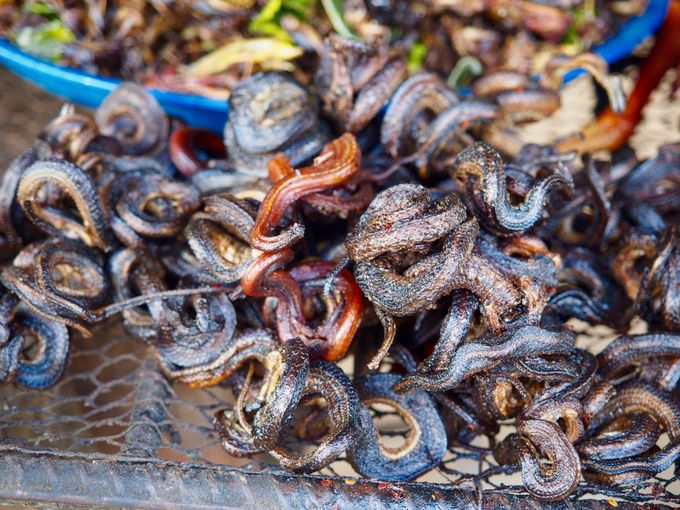 Rắn nướng Rắn có thể chế biến thành các món như nấu cháo đậu xanh, hầm đu đủ, xào lăn... nhưng bạn dễ dàng tìm thấy khi đến Campuchia là món nướng. Những con rắn đủ mọi kích cỡ được làm sạch rồi nướng mọi dân dã. Món ăn này cũng phổ biến ở Việt Nam. Tại một số địa chỉ ở Siem Reap hoặc Phnom Penh, mỗi con rắn được bán với giá 2 USD (hơn 40.000 đồng). Người bán còn làm ra nhiều loại nước chấm khác nhau để phục vụ khách. Ảnh: Freda Bouskoutas.