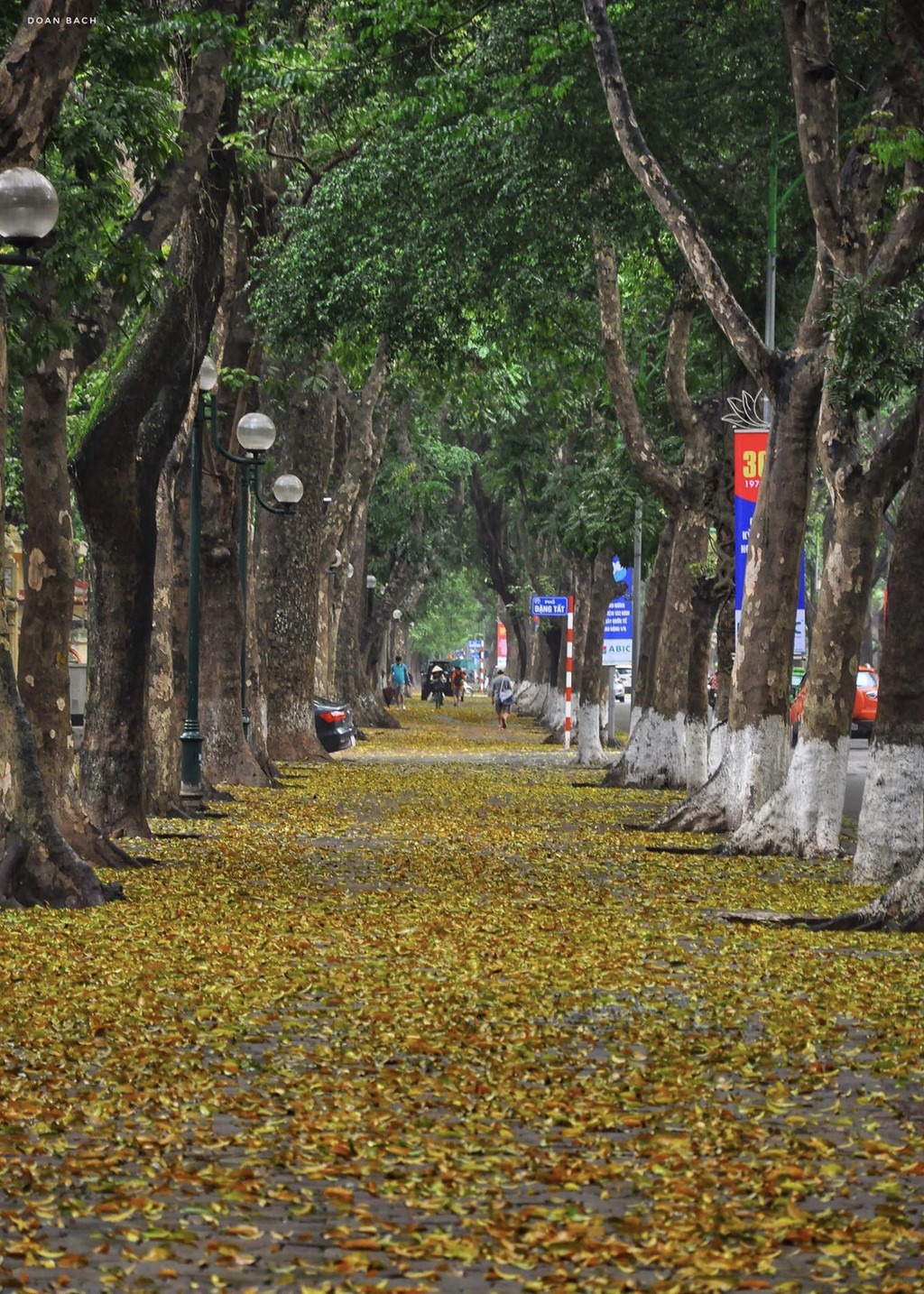 8-trai-nghiem-dang-thu-trong-mua-thu-o-ha-noi-ivivu-2