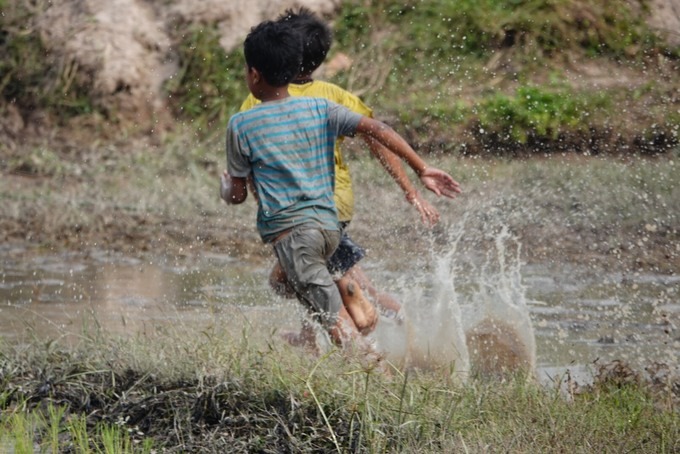 Bên ngoài cánh đồng, tiếng nô đùa của trẻ em tạo nên không khí rộn ràng một vùng quê.