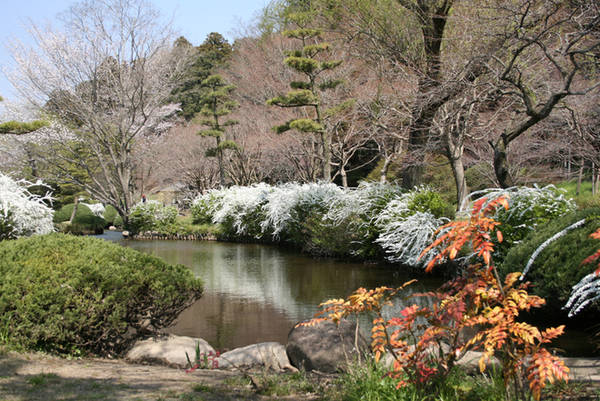 Kairakuen cách Tokyo 120 km về phía tây bắc. Bạn có thể đến Mito từ Tokyo bằng tàu cao tốc, mất khoảng một tiếng và chi phí 4.000 yen (khoảng 800.000 đồng). Ảnh: JPG.