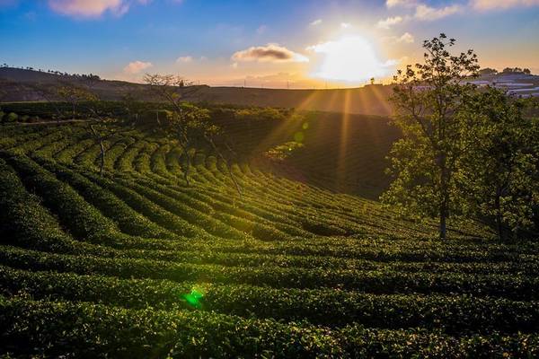 Đà Lạt mang vẻ đẹp của một nàng thiếu nữ trong trắng, tinh khôi, một vẻ đẹp mà ai cũng khao khát, kiếm tìm và làm say đắm bất cứ kẻ lữ khách nào ghé qua.