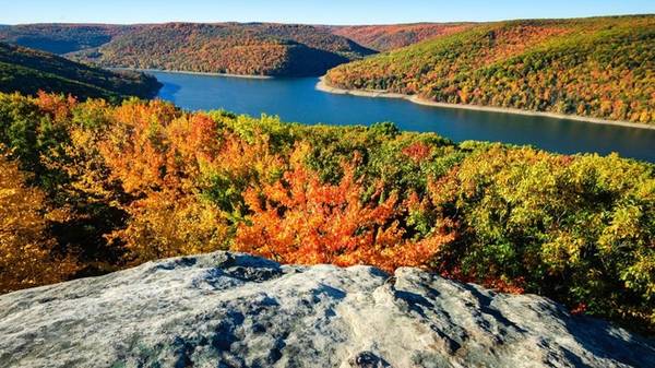  Một thế giới bị lãng quên Khu rừng Allegheny bao phủ một vùng rất rộng ở phía tây bắc Pennsylvania và tây nam New York, là một trong những khu vực bị lãng quên của xứ cờ hoa. Allegheny rộng khoảng 400.000 ha này không có thành phố lớn, chiến trường hay di tích lịch sử nào, vì vậy thiên nhiên vẫn nguyên vẹn như khi những cư dân đầu tiên đặt chân tới. Thực tế không một vùng nào khác ở đông bắc Mỹ lại có nhiều rừng rộng lớn, sông suối, đường mòn và dạng đất đá như nơi này. Cùng với lịch sử công nghiệp quan trọng, Allegheny trở thành nơi lý tưởng để thành công viên quốc gia đầu tiên nằm giữa Đại Tây Dương và Great Lakes (Ngũ Đại Hồ).