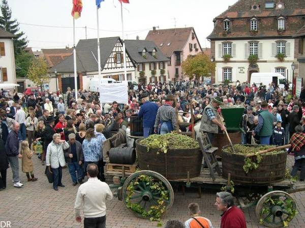  Lễ hội rượu vang ở làng Marlenheim - Ảnh: wp