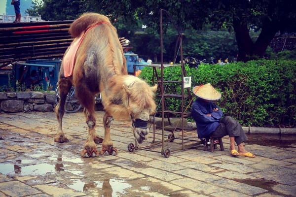 Khung cảnh như trong phim kiếm hiệp.