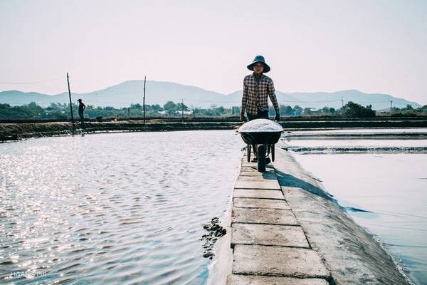 Muối thu hoạch tại đây đa số cung cấp cho Kiên Giang, Phú Quốc... để sản xuất nước mắm, chế biến hải sản, và cho các tàu cá để bảo quản hải sản.