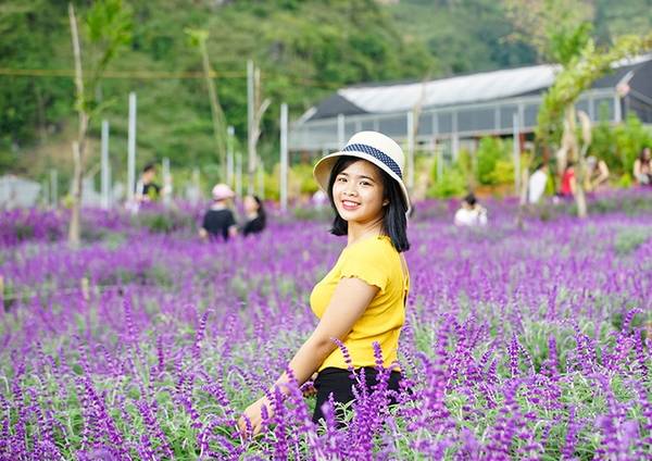 Một bạn trẻ đến từ thành phố Hà Nội tạo dáng bên vườn hoa. Chủ vườn chia sẻ, mỗi ngày trung bình nơi đây đón 300 - 400 lượt khách.