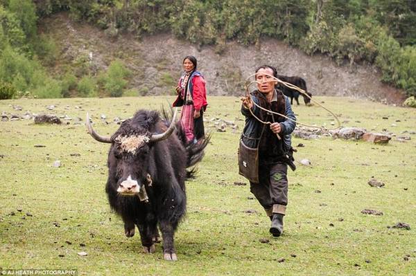 Heath cho biết anh thường được mời uống trà bơ yak khi chụp ảnh người Brokpa. Anh nhớ lại: “Phần lớn những người tôi chụp ảnh đều mời tôi uống vài cốc trà bơ với họ, và vài ly Ara (rượu địa phương) nữa”. 