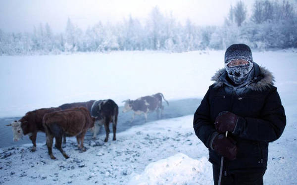 Nhiệt độ trung bình tháng 1 tại Oymyakon là -50 độ C