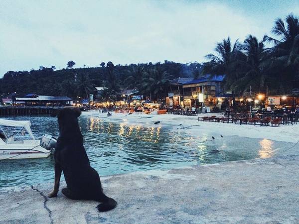 Xế chiều trên đảo Koh Rong.