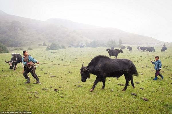 Khu vực người Brokpa sinh sống có sự chênh lệch lớn về độ cao, không thích hợp để trồng trọt.