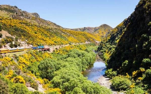 Ngoài ra, con đường mòn Milford Trail ở phía Nam New Zealand được nhà thơ nổi tiếng Blanche Baughan ca ngợi là con đường đi bộ đẹp nhất trên thế giới. Con đường này chỉ dài 53km nhưng đi qua thác nước cao nhất New Zealand, cầu treo, núi, thung lũng và hồ nước xanh thẳm.