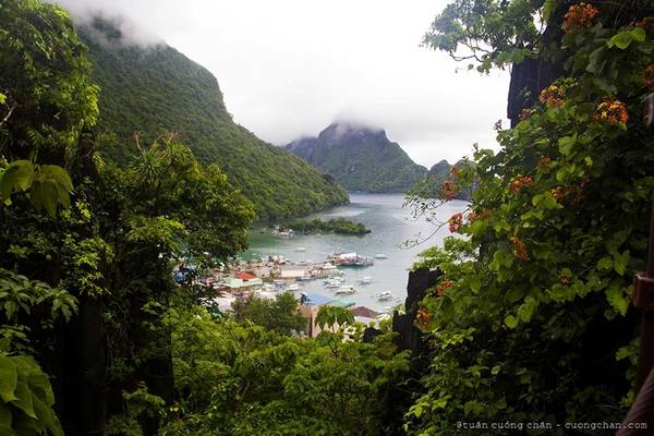 Lịch trình gợi ý cho các bạn: Ngày 1: TP HCM - El Nido ( bao gồm thời gian bay và đi xe) Ngày 2-3: Đi 2 tour A, C trên đảo...