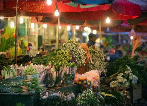 Chợ hoa đêm Quảng Bá Chợ hoa đêm lớn nhất Hà Nội thông thường họp vào khoảng nửa đêm đến 3h - 4h sáng, những ngày cận Tết sẽ họp từ sáng đến tối. Do đó, du khách có thể ghé qua bất cứ lúc nào. Những xe hoa lớn nhỏ đủ loại, màu sắc tấp nập đổ về chợ. Những ngày cuối năm hoa đào, cúc, ly được bày bán nhiều hơn. Đi chợ hoa nhiều khi trở thành thú vui của nhiều du khách. Có người thức trắng đêm để lang thang trong chợ không hẳn để mua hoa mà đơn giản chỉ là cảm nhận một phần trong cuộc sống Hà Nội về đêm. Ảnh: Nguyễn Hòa Khánh.