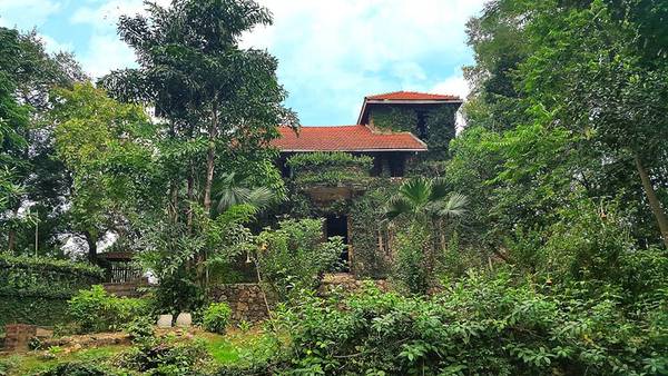 Jungle-house-bac-ninh-ivivu-6