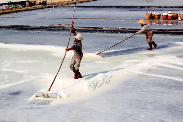 Đảo Thạnh An: Đảo Thạnh An trong tên gọi của phượt thủ gần đây là "đảo hoang gần Sài Gòn". Đảo không rộng, trên đảo chỉ có vài hộ dân, dịch vụ du lịch hầu như không có. Song vì cái gì cũng không có, đảo càng thu hút du khách, nhất là những nhóm bạn trẻ thích trải nghiệm những cảm giác mới mẻ. Ảnh: Nhi Huỳnh. 