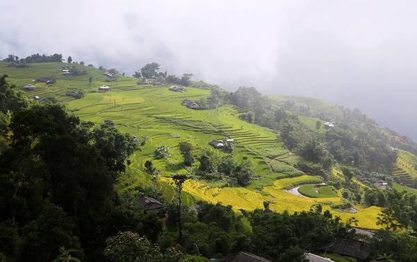 Bản Phùng là xã biên giới của huyện Hoàng Su Phì, Hà Giang được nhắc đến như cái nôi của cộng đồng người dân tộc La Chí. Bản 100% dân tộc La Chí sinh sống. Họ thường cư trú ở núi cao gần 2.000 m, sống bằng nghề chăn nuôi, canh tác lúa nước trên ruộng bậc thang.