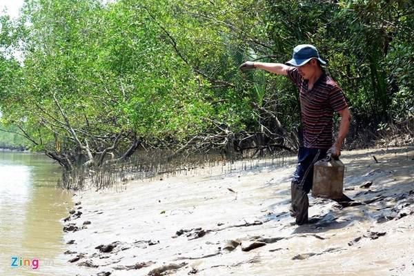 Thị trấn Cần Thạnh: Cách trung tâm thành phố không xa, song vừa đặt chân đến Cần Thạnh, bạn đã có cảm giác khác hẳn: không khí trong lành, những hàng cây hiền hòa, những ngôi nhà nhỏ liền kề nhau tạo cảm giác gần gũi. Ảnh: Nguyễn Quang. 