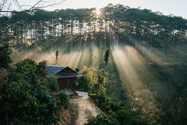 Bạn yêu những hàng thông căng đầy nhựa sống, hay những ngọn thác vùng vĩ của xứ sở mờ sương? Tôi lại yêu tất cả những gì thuộc về Đà Lạt, say đắm như một kẻ si tình. Tôi có thể ngồi hàng giờ để ngắm mặt hồ Tuyền Lâm êm đềm, hay dậy sớm quấn chăn ngồi ban công, ôm cốc cà phê nóng hổi đợi từng tia nắng rẽ làn sương, buông mình lên cây lá.