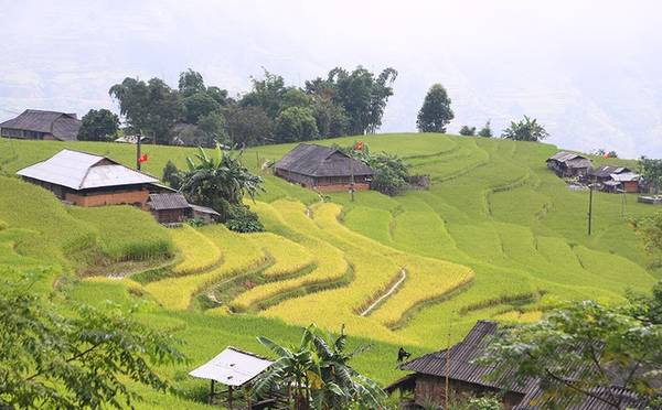 Thời điểm tháng 9 hàng năm, đồi núi của xã Bản Phùng bắt đầu lốm đốm những thửa ruộng ngả màu vàng, mùa lúa bắt đầu chín.