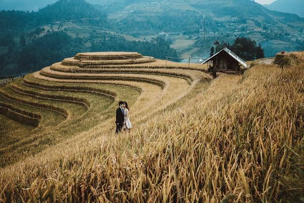 Công việc văn phòng, thời gian eo hẹp không ngăn cản được đam mê của đôi bạn trẻ. Cả hai đã dành những ngày nghỉ ít ỏi để cùng nhau đi khắp Việt Nam để tự chụp những bức ảnh tuyệt đẹp này. Từ miền Nam xa xôi, cả hai đã có những trải nghiệm thật đẹp tại Mù Cang Chải (Yên Bái) giữa mùa lúa chín.